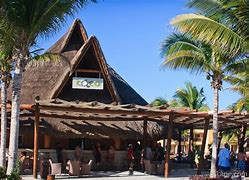 Image result for Coco Pizza Bar