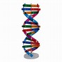 Image result for Double Helix Science