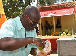 Image result for Jamaican Dances Life Ackee Walk