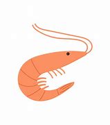 Image result for Shrimp Antennae