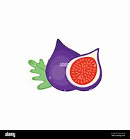 Image result for Fig Fruit Clip Art