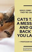 Image result for Cool Cat Quotes