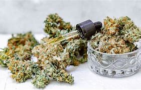 Image result for Thigh THCA Flower