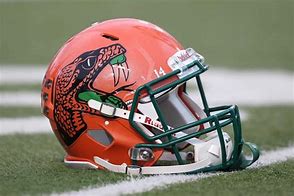 Image result for FAMU Athletics