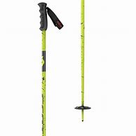 Image result for Skid Poles