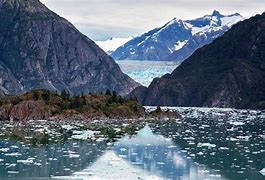 Image result for Fjord Cruise