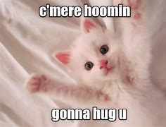 Image result for cute hug meme animals