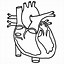 Image result for Blank Heart Diagram Worksheet