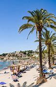 Image result for Palma Mallorca