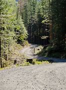 Image result for Logging Road