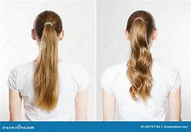 Image result for Long Gray Hair Ponytail