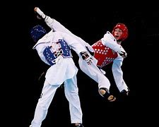 Image result for Korean Taekwondo