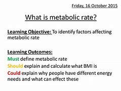 Image result for Define Metabolic Rate