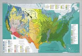 Image result for United States Vegetation Map