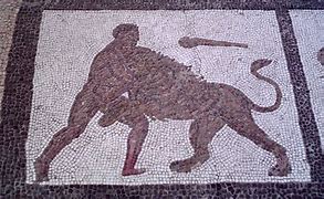 Image result for Hercules Fighting Nemean Lion