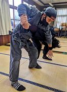 Image result for Togakure Ninja School