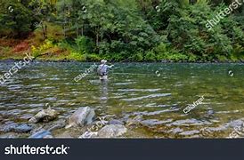 Image result for Steelhead Fly Fishing