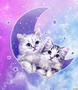 Image result for A Cute Cat GIF