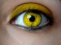 Image result for Eye Nut Yellow