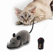 Image result for Cat Toy Mouse Chase