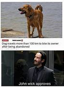 Image result for Happy John Wick