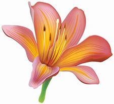 Image result for Blue Lily Clip Art