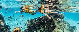 Image result for Cancun Snorkel