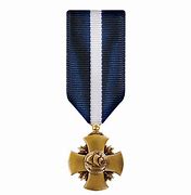 Image result for Navy Cross Medal