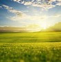 Image result for Bright Sunny Morning