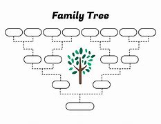 Image result for Basic Family Tree Template