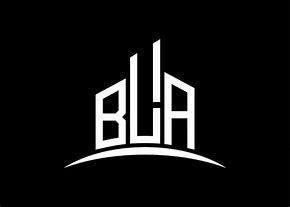 Image result for Bla Flag