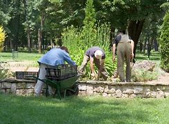 Image result for Spring Landscaping