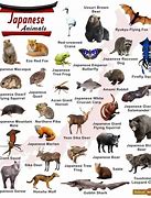 Image result for Japan Animals