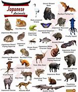 Image result for Animals in Kanji