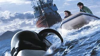 Image result for Free Willy 1