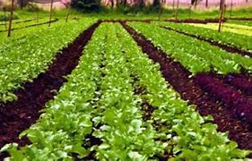 Image result for Agrarians Farming