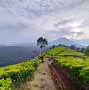 Image result for Agrowisata Ngalor Kalo Manggarai Barat