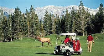 Image result for Banff Golf Course Club House