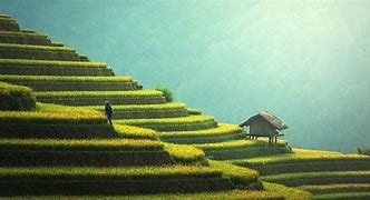 Image result for Best Countries to Visit Asia