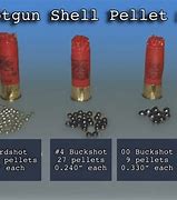 Image result for Number 2 Buckshot