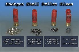 Image result for Buckshot Shells