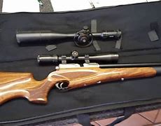 Image result for Pellet Guns High Power