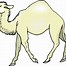 Image result for Halloween Camel Images