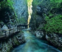 Image result for Slovenia National Park