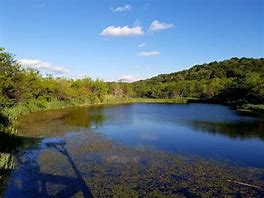 Image result for Cedar Ridge Preserve Dallas