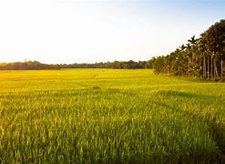 Image result for Cuba Arable Land