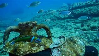 Image result for Snorkeling Kreta