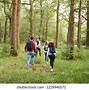 Image result for People Walking in a Nature Reserve