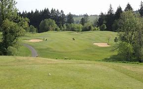 Image result for Chehalem Glenn Golf Course Logo