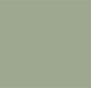 Image result for Solid Sage Green